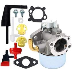 798653 Carburetor for Briggs & Stratton 696981 698860 694508 795069 698859 790180 790290 693865 697354 698474 791991 698810 698857 698478 694174 690046 693751 Craftsman 791077 Carburetor 591299 798650