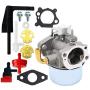 798653 Carburetor for Briggs & Stratton 696981 698860 694508 795069 698859 790180 790290 693865 697354 698474 791991 698810 698857 698478 694174 690046 693751 Craftsman 791077 Carburetor 591299 798650