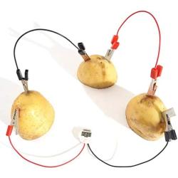 Bio Energy Science Toy Kit Children Educational Fun Potato Electricity Experiments Fruit Toys