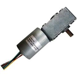 Self-hold Worm Motor Dc 12v High Torque