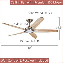 Dorian Eco 60 Inch Ceiling Fan with Light | Dimmable LED Fixture with Premium DC Motor | 6-Speed Wall Control with Natural Solid Wood Blades with and Downrod Mount, Brushed Steel