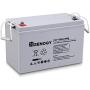 Renogy Deep Cycle AGM Battery 12 Volt 100Ah, 3% Self-Discharge Rate, 2000A Max Discharge Current, Safe Charge Most Home Appliances for RV, Camping, Cabin, Marine and Off-Grid System, Maintenance-Free