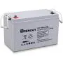 Renogy Deep Cycle AGM Battery 12 Volt 100Ah, 3% Self-Discharge Rate, 2000A Max Discharge Current, Safe Charge Most Home Appliances for RV, Camping, Cabin, Marine and Off-Grid System, Maintenance-Free