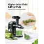 Slow Juicer,Aeitto Celery Juicer Machines,Masticating Juicer,Cold Press Juicer, Juice Extractor with 2-Speed Modes,Reverse Function & Quiet Motor for Vegetables And Fruits,Easy to Clean with Brush