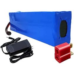 Wnicek E-Bike Battery 48V Lithium Battery Pack 20AH Li-ion Battery, for 500W 750W 1000W Motor Fit for Electric Bicycle Scooter Electric Tricycles Golf Cart with Charger and BMS