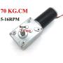Bringsmart 12V 16rpm DC Worm Gear Motor 70kg.cm High Torque Turbine Electric Gearbox Motor Self-Locking Reversed Mini Engine Geared Motor for DIY Robot Door Lock Curtain Machine (12V 16rpm)