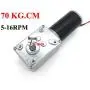 Bringsmart 12V 16rpm DC Worm Gear Motor 70kg.cm High Torque Turbine Electric Gearbox Motor Self-Locking Reversed Mini Engine Geared Motor for DIY Robot Door Lock Curtain Machine (12V 16rpm)