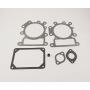BH-Motor New Valve Gasket Set for 794152 Replaces # 690190 794114 796584 699168 692410