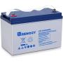 Renogy 12V 100AH Deep Cycle Hybrid Gel Battery, Over 750 Cycles, Rechargeable for Solar Wind RV Marine Camping UPS Wheelchair Trolling Motor, Maintenance Free