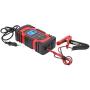 DC‑80 Smart Battery Charger , Renewable Energy Energy Controllers Overcharge Protection Maintainer for Car Motorcycle AC110‑220V[us plug]