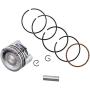 Cancanle 39mm Piston Pin Rings Kit for Honda GX35 GX35NT HHT35S UMK35 Gasoline 4-Stroke Engine Motor Brush Cutter Trimmer String Trimmer
