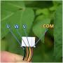 Nuojie Electronic Components Motor 22mm Ultra-Thin Brushless Motor DC 6-7.2V 8750RPM Rare Earth Strong Magnet Outer Rotor Silent 3-Phase 4-Wire