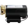 YaeMarine 12V 3.2GPM (12.0LPM) Oil Pump Turbo Pump Oil Scavenge Pump Impellor Gear Pump Self Priming Reversible for Diesel Lubricants Machinery Fuel Scavenge Oil Transfer (Black)