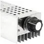 Yenslii AC 110V 120V 220V 230V 6000W High Power SCR Motor Speed Controller,Voltage Regulator Dimmer Thermostats with Safety Protection Shell