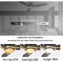 Smart Ceiling Fan with Light, Indoor/Outdoor Ceiling Fan, Compatible with DC Motor,10-speed,8 Hours Timer, Works with Remote Control/Alexa/Google Home/Siri,Schedule (52