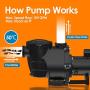 Pool Pump, 2 HP Dual Speed In/ Above Ground Self Priming Pool Pumps, 109 GPM Max Flow, Hardwired Inground Pump w/ Strainer Basket, 1.5