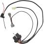 TUCKPATTS Shift Harness Kit Bypass Angle Sensor Shift Motor Computer,Angle Sensor Computer Bypass Wiring Shift Harness Kit for 2000-2006 Honda Rancher 350 ES New