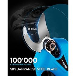 Electric Hand Pruner, 16.8V Cordless Pruning Shear Branch Cutter Brushless Motor 25mm (1Inch) Cutting Diameter Heavy Duty Tree Branch Pruner for Garden Fruit Tree