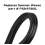 Motor Seal Gasket O-Ring Replacement for Summer Waves SFX1000 & SFX600 Filter Pool Pumps, Parts # P58147800-2 Pack