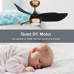 36 Inch Quiet DC Motor Modern Black Gold Ceiling Fan with Dimmable Light Remote Control, 3 Blade Contemporary Indoor Ceiling Fan Small for Kids Bedroom