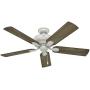 Hunter Matheston Indoor / Outdoor Ceiling Fan with Light and Pull Chain Control