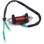 Boat Motor 61N-81313-09 T20-06040003 Lighting Coil for Yamaha Parsun MakaraHDX C 25HP 30HP 2-Stroke Outboard Engine E25B E30H