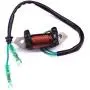 Boat Motor 61N-81313-09 T20-06040003 Lighting Coil for Yamaha Parsun MakaraHDX C 25HP 30HP 2-Stroke Outboard Engine E25B E30H