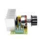 Hailege 2pcs 3800W SCR Speed Controller AC Electric Voltage Regulator Dimming Temperature Silicon Controller Switch AC 220V