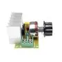 Hailege 2pcs 3800W SCR Speed Controller AC Electric Voltage Regulator Dimming Temperature Silicon Controller Switch AC 220V