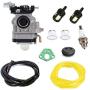 Shnile Carburetor Compatible with Motor Gas 2 Cycle 43cc Southland Mini Cultivator S-CV-43 SCV43 Shindaiwa AH242 AHS242 EB802 EB802RT Echo PB-755H PB-755SH PB-260I PB-260L Backpack Blower Carb