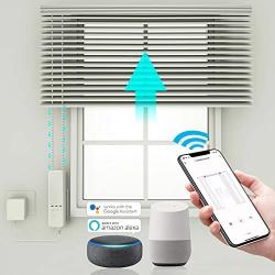 QUOYA Smart Electric Chain Blinds Motor, WiFi Roller Blind Driver, Compatible with Alexa Google Home Voice Control, Tuya Smart Life App (MC08, One Motor) (MC08, One Motor)