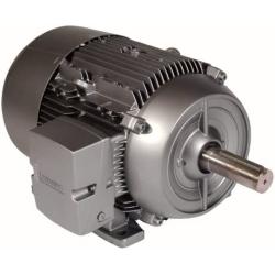 Siemens 1LE21211AA214AA3 1 5-HP 3600 Rpm 230/460-volt 143t General Purpose Electric Motor Nema Premium Efficient Aluminum Frame, Aluminum Rotor