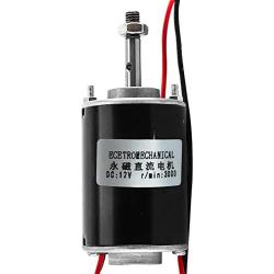 YaeGarden 12V 30W High Speed CW/CCW Permanent Magnet DC Motor Electric Micro Speed Reduction Geared Motor For DIY Generator (DC 12V 3000RPM)