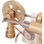 Omabeta Stirling Engine Motor Model, Multi Color LED Stainless Steel Rod Stirling Engine Motor Toy Thickened Glass Gold for Teaching Props