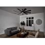 Kichler 300285DBK Gentry XL Ceiling Fan, 1-Light, Distressed Black