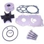 Boat Motor 6CB-W0078-00 Water Pump Repair Kit Without Housing for Yamaha 200HP 225HP 250HP Outboard Engine, 18-3474 for Sierra Marine