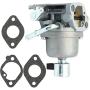 Nakkaa Carburetor Compatible with 699807 697722 401577 406577 407577 4025A7-0224 4035A7-0409 20HP Motor Engine Yard Tractor Riding Lawn Mower Replacement Carb