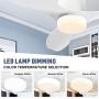 48 inch Ceiling Fan with Light and Remote, Indoor Low Profile Ceiling Fan with 6 Speeds 3 Color LED light DC Motor, ,White ,F5661A