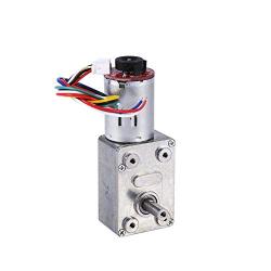 FTVOGUE DC Motor 12V High Torque Worm Geared Motor Reduction Motor with Encoder Srong Self-Locking (100RPM)