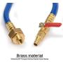 Astarye Brass 12