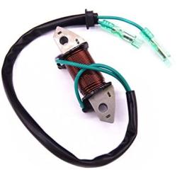 Boat Motor 61N-81313-09 T20-06040003 Lighting Coil for Yamaha Parsun MakaraHDX C 25HP 30HP 2-Stroke Outboard Engine E25B E30H
