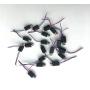 100pcs Low power Vibrator 3V Motor Mini DC motor 4 x 8mm Vibration Pager micro motor for robotics toys Robot Bristlebot DIY