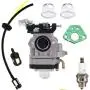 Réducteur HQparts pour moteurs 2 temps 43cc Powermate PCV43 Southland Mini Cultivateur SCV43 Tasseuse Kit de filtre à carburant et grommet. Réducteur HQparts pour moteurs 2 temps 43cc Powermate PCV43 Southland Mini Cultivateur SCV43 Tasseuse Kit de filtre à carburant et grommet.