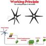 coldwind Wind Turbine Generator + Controller 6 Black Blades Horizontal Windmill Strong Power Powered Electric Aerogenerator Green Energy Generating-Black 48v