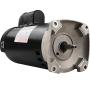 B2854 Square Flange Pool Motor,1-1/2 HP,3450 RPM, 8.0/16.0 Amps, 1.1 Service Factor, 56Y Frame, PSC, ODP Enclosure, Pool and Spa Pump Motor