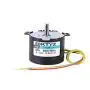 AC Motors Permanent Magnet Synchronous Motor CW/CCW XD-50KTYZ AC 220V for DIY Generator(2.5RPM)