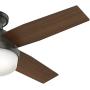 Hunter Dempsey Indoor Low Profile Ceiling Fan with LED Light and Remote Control