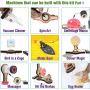 ButterflyEdufields 20+ STEM Projects Kit for Kids with Electric Motor | Science Experiments Kit for Boys and Girls | DIY Educational Learning Toys for Ages 5-12 Years