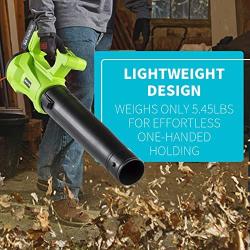 Cordless Leaf Blower with Lithium Battery & Fast Charger Included, 2in1 Electric Cordless Sweeper / Vacuum for Blowing Leaf, Clearing Dust & Small Trash,Car, Computer Host, (LARGE20000r)