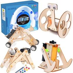 4 Wooden Motor Robotic Science Kits, DIY STEM Toys for Kids, Building Science Experiment Kits for Boys and Girls